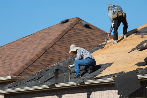 Best Roof Coating and Sealing  in Buffalo, MO