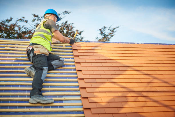 Best Skylight Installation and Repair  in Buffalo, MO